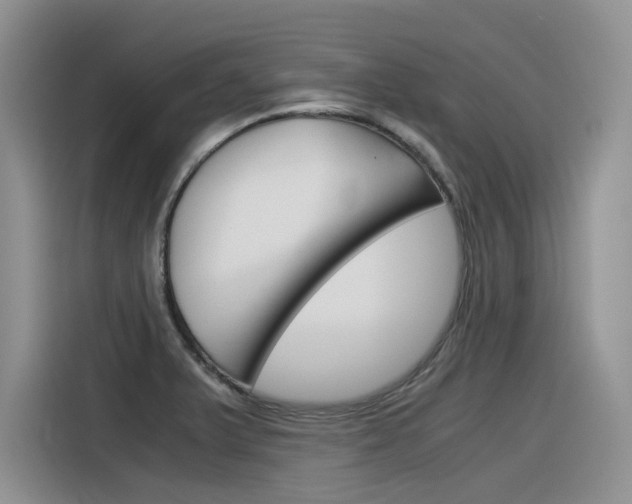 X0000116391375200912020957