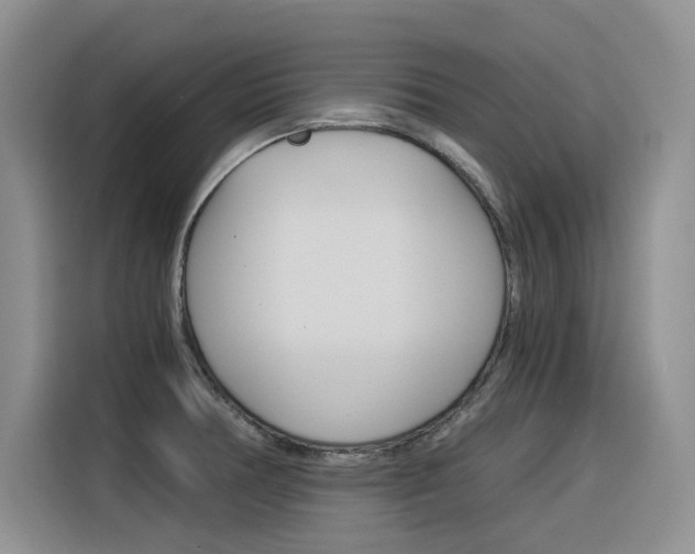 X0000116391378200912020957