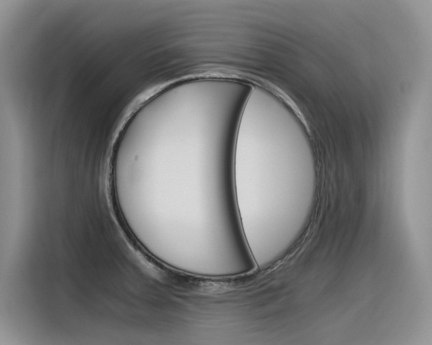 X0000116391379200912020957
