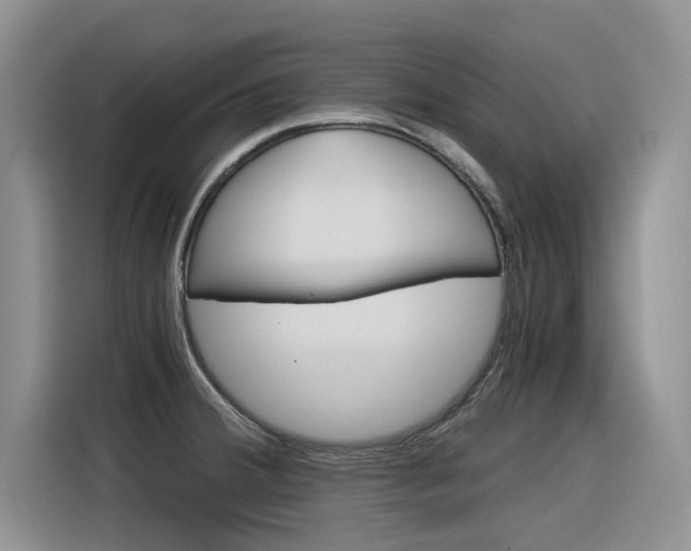 X0000116391380200912020957