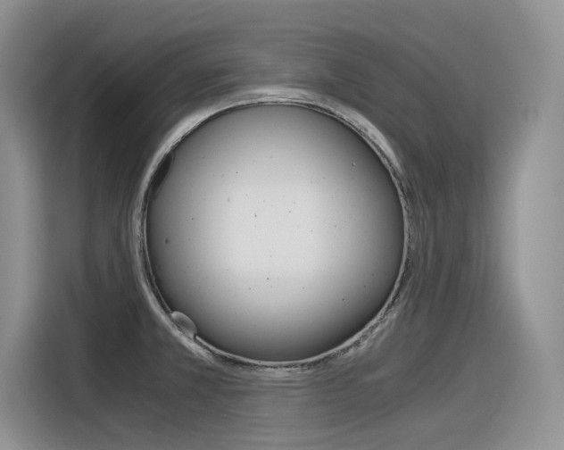 X0000116391381200912020957