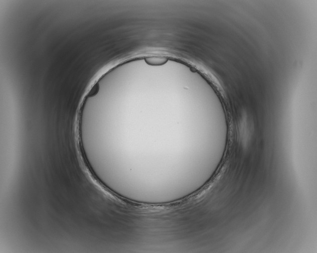 X0000116391382200912020957