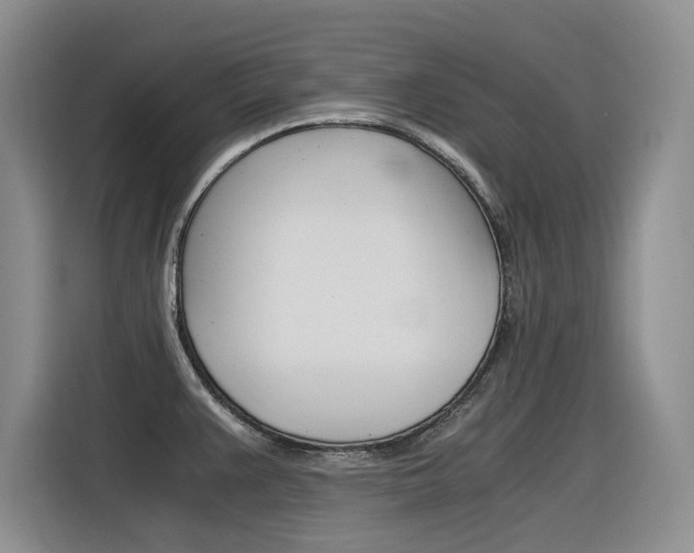 X0000116391383200912020957