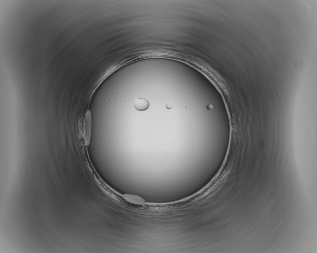 X0000116391385200912020957