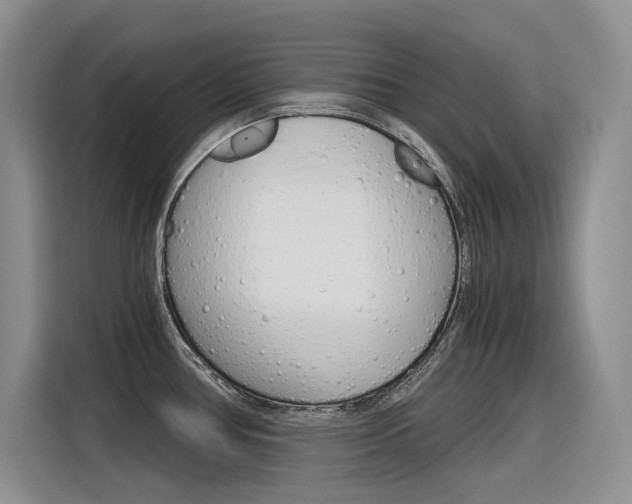 X0000116391386200912020957