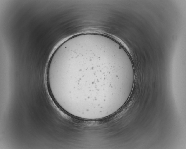X0000116391387200912020957