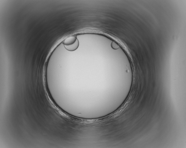 X0000116391390200912020957