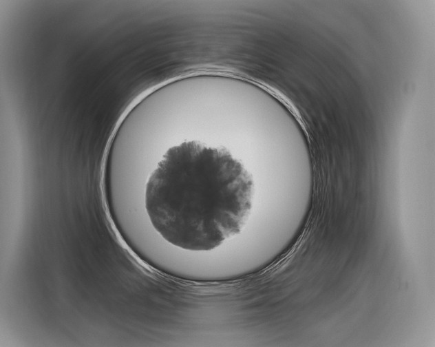 X0000116391391200912020957