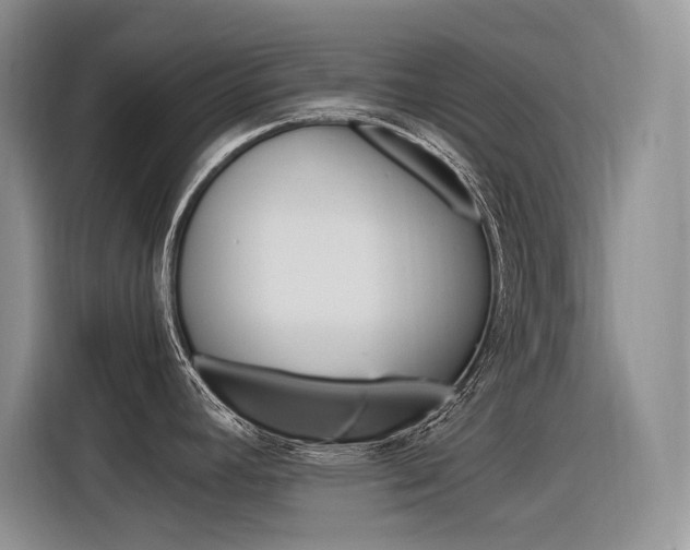 X0000116391392200912020957