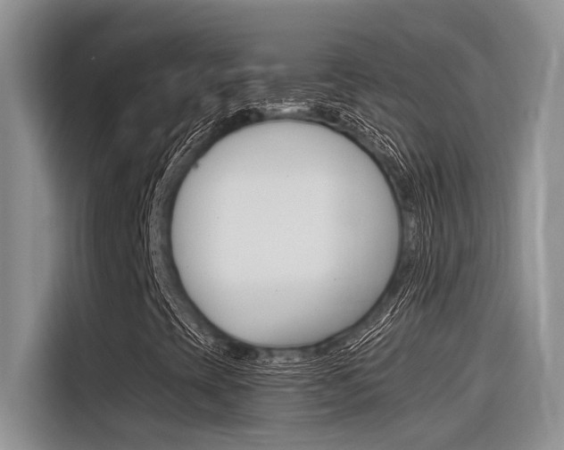 X0000116391393200912020956