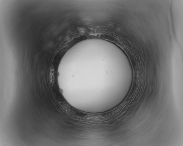 X0000116391394200912020956