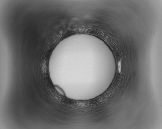 X0000116391395200912020956
