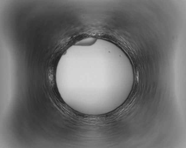 X0000116391396200912020956