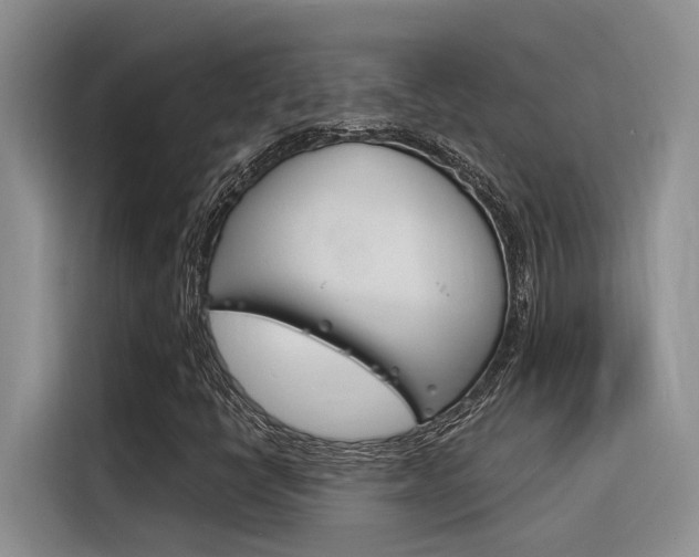 X0000116391398200912020956