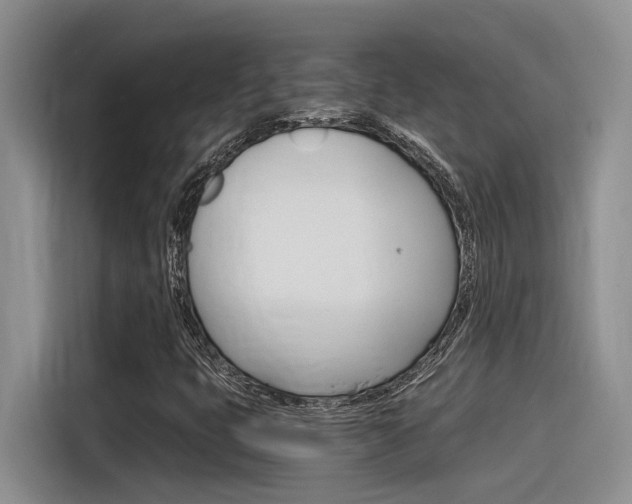 X0000116391399200912020956