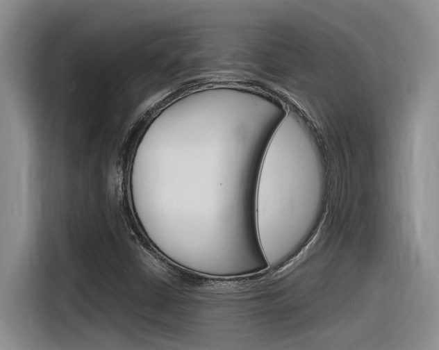 X0000116391402200912020956