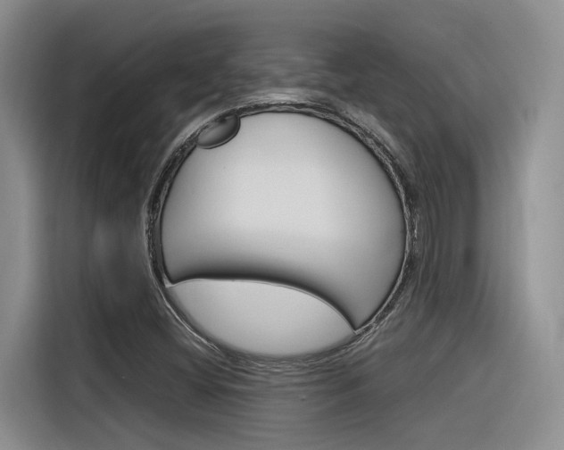 X0000116391404200912020956