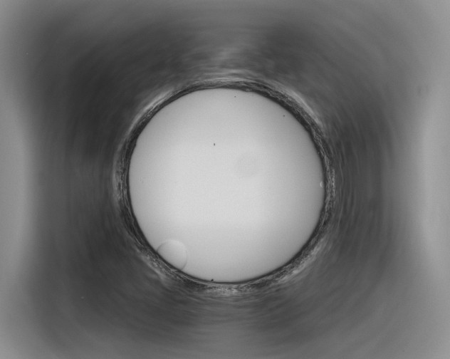 X0000116391405200912020956