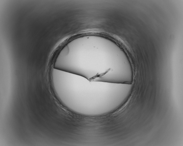X0000116391406200912020956