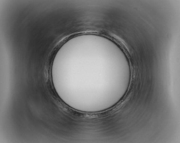 X0000116391407200912020956
