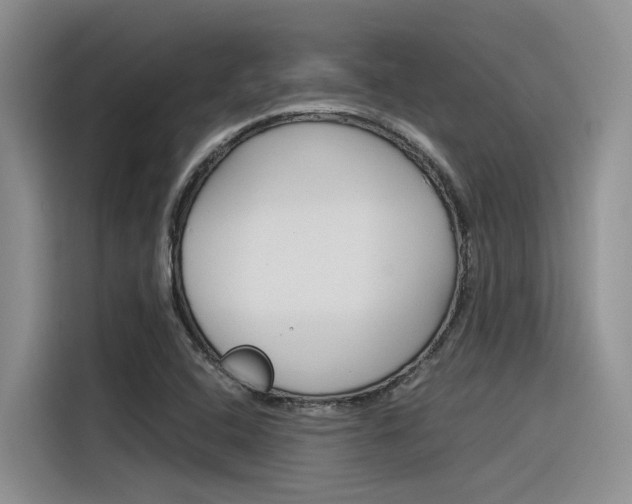 X0000116391408200912020956
