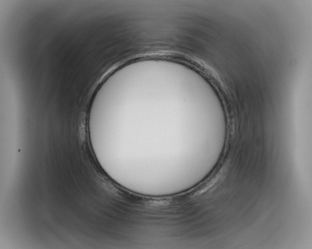 X0000116391409200912020956