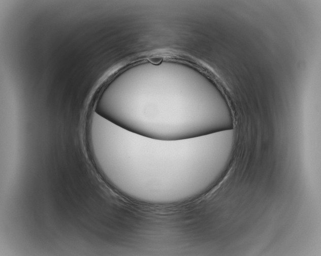 X0000116391410200912020956