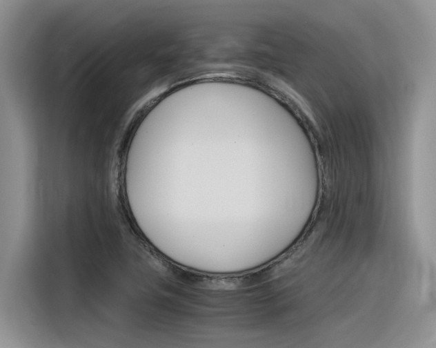X0000116391411200912020956