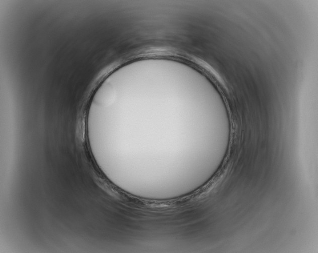 X0000116391413200912020956