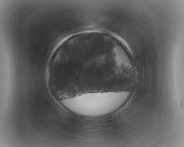 X0000116391415200912020957
