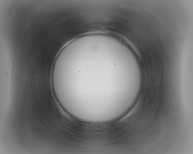 X0000116391417200912020957
