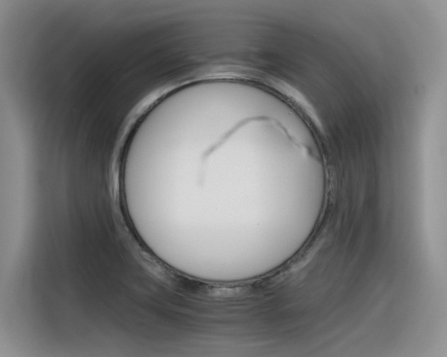 X0000116391419200912020957