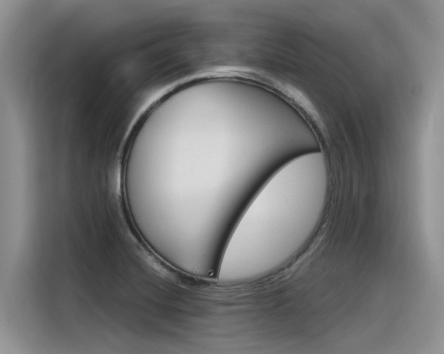X0000116391420200912020957