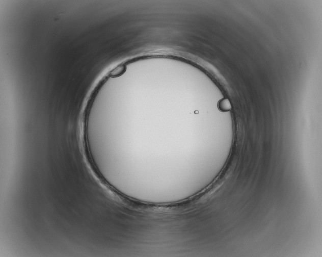 X0000116391424200912020957