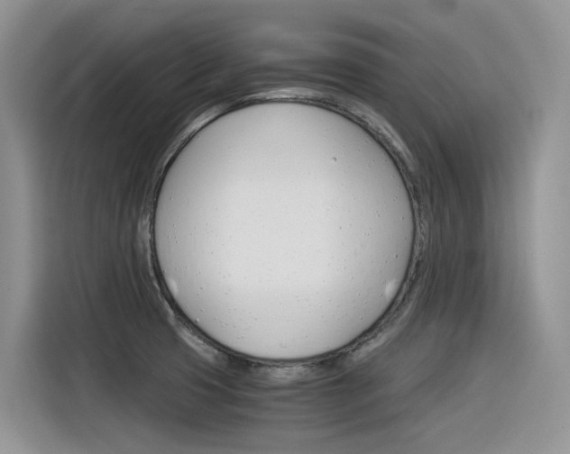 X0000116391425200912020957