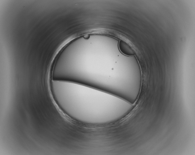 X0000116391426200912020957