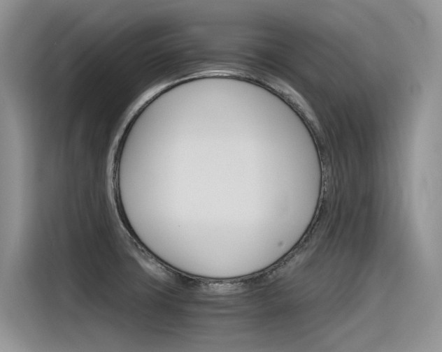 X0000116391427200912020957