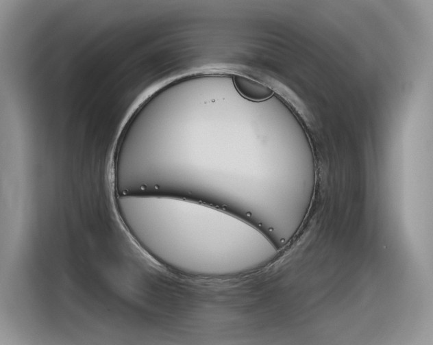 X0000116391428200912020957