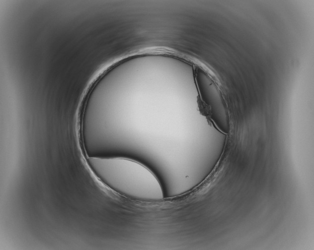 X0000116391430200912020957