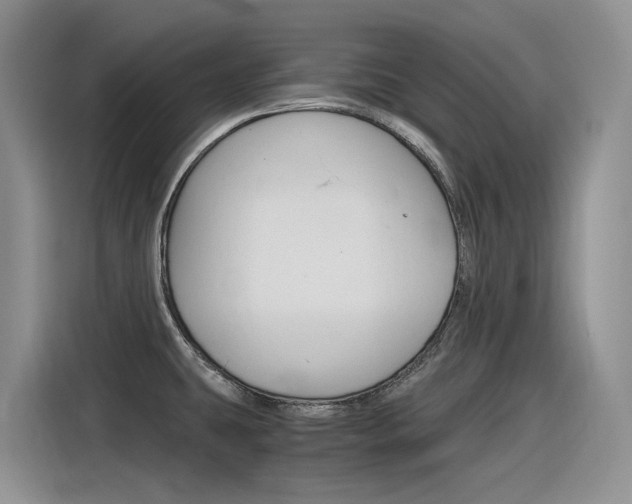 X0000116391431200912020957