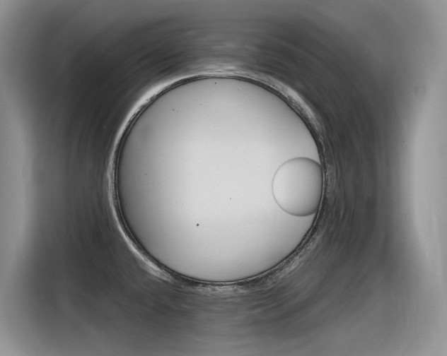 X0000116391432200912020957