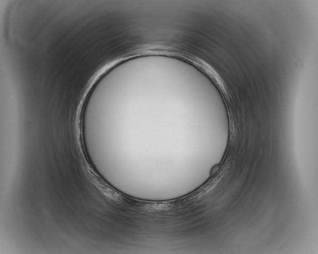 X0000116391435200912020957
