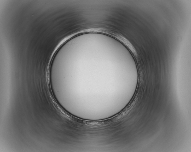 X0000116391436200912020957
