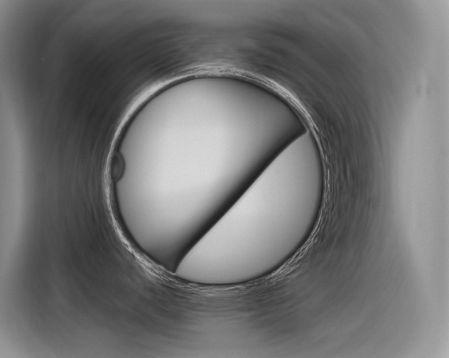 X0000116391440200912020957