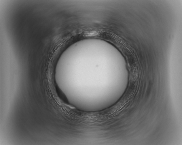 X0000116391441200912020956