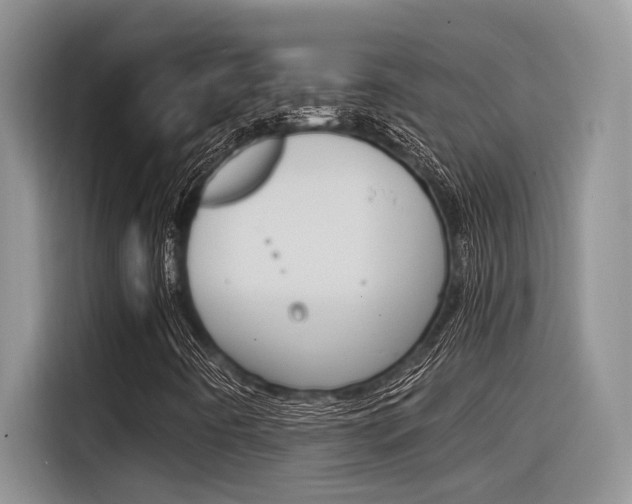X0000116391442200912020956