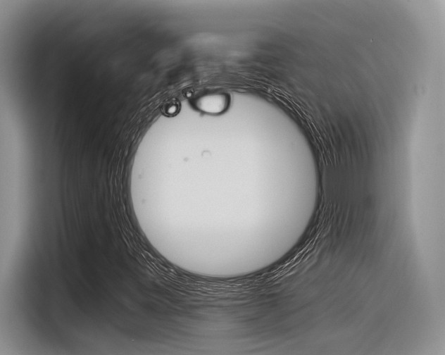 X0000116391443200912020956