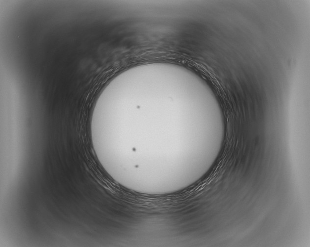 X0000116391444200912020956