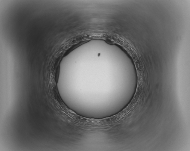 X0000116391445200912020956