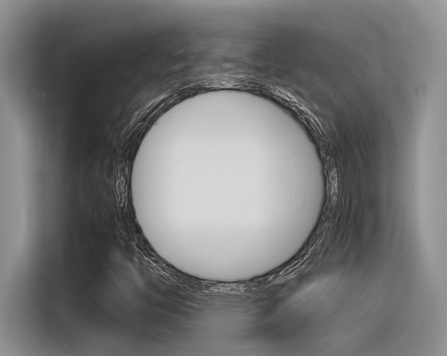 X0000116391446200912020956